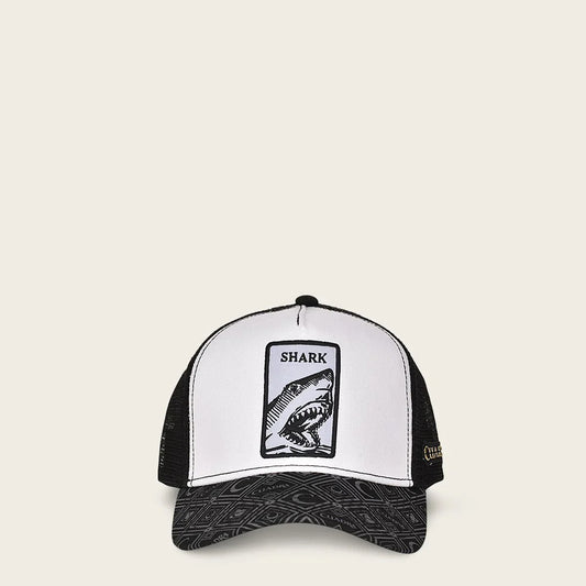 CC101 CUADRA SHARK CAP