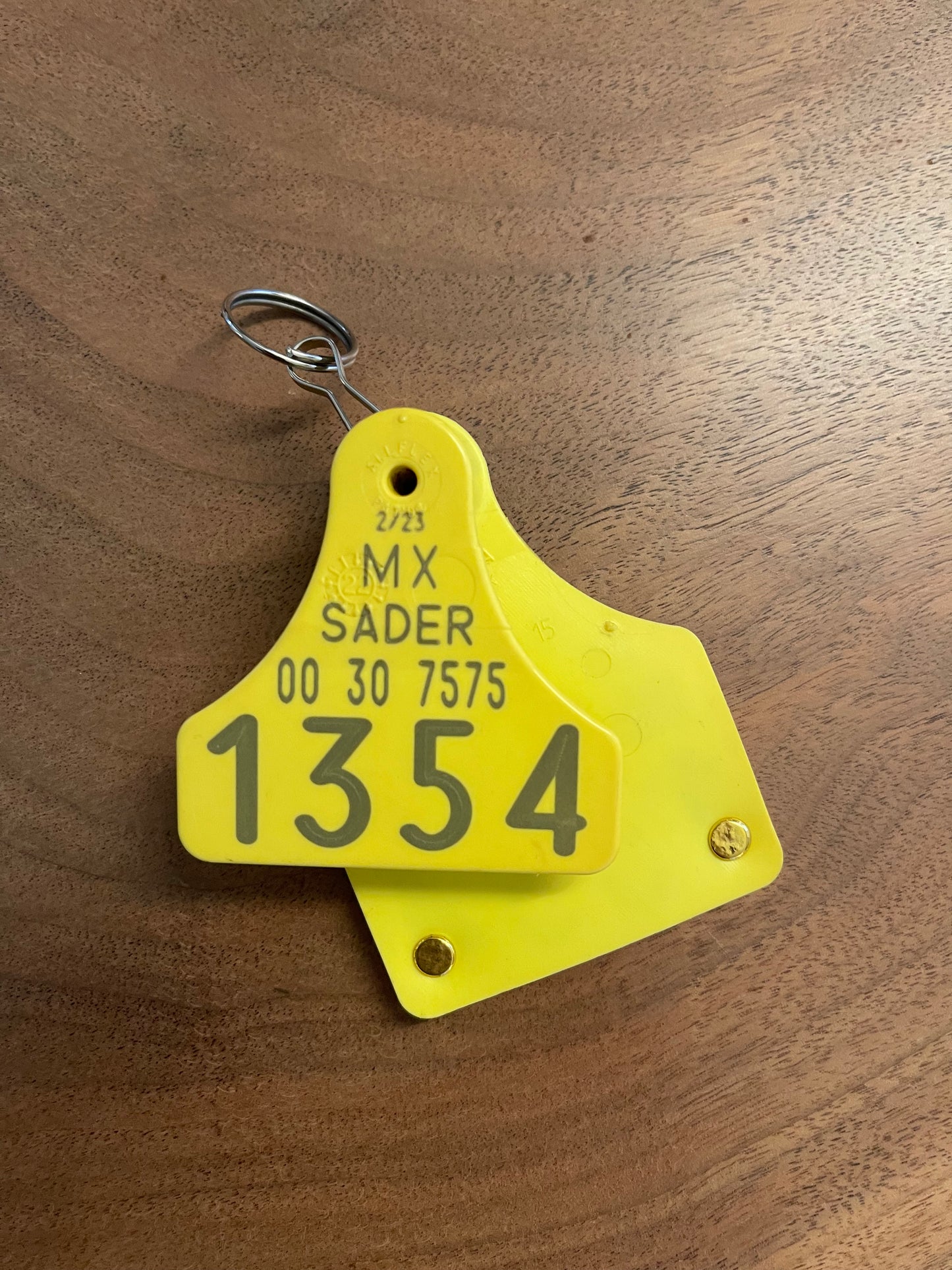 DRG100 DOUBLE G RANCH BULL TAG KEYCHAIN