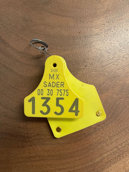 DRG100 DOUBLE G RANCH BULL TAG KEYCHAIN