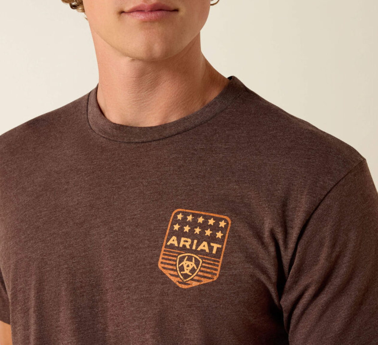 10073963 ARIAT MENS STRIPE PATRIOTIC BADGE T-SHIRT- BROWN HEATHER