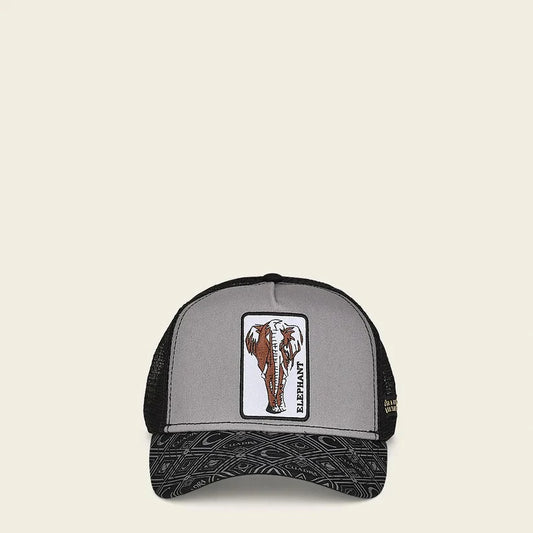 CC104 CUADRA ELEPHANT CAP